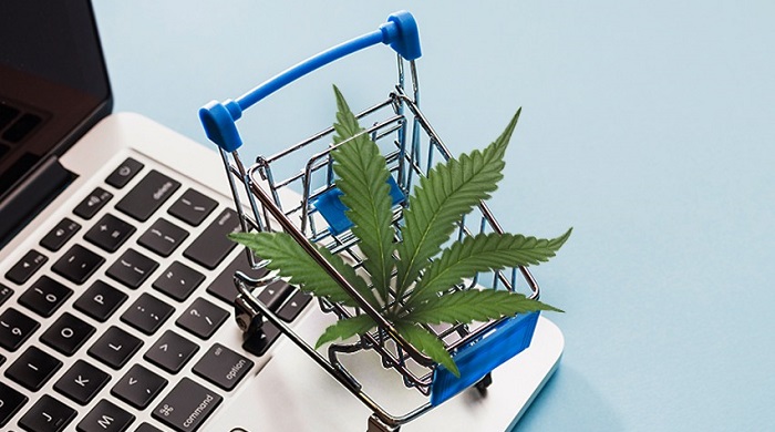 Essentials things to notice when buying CBD product online