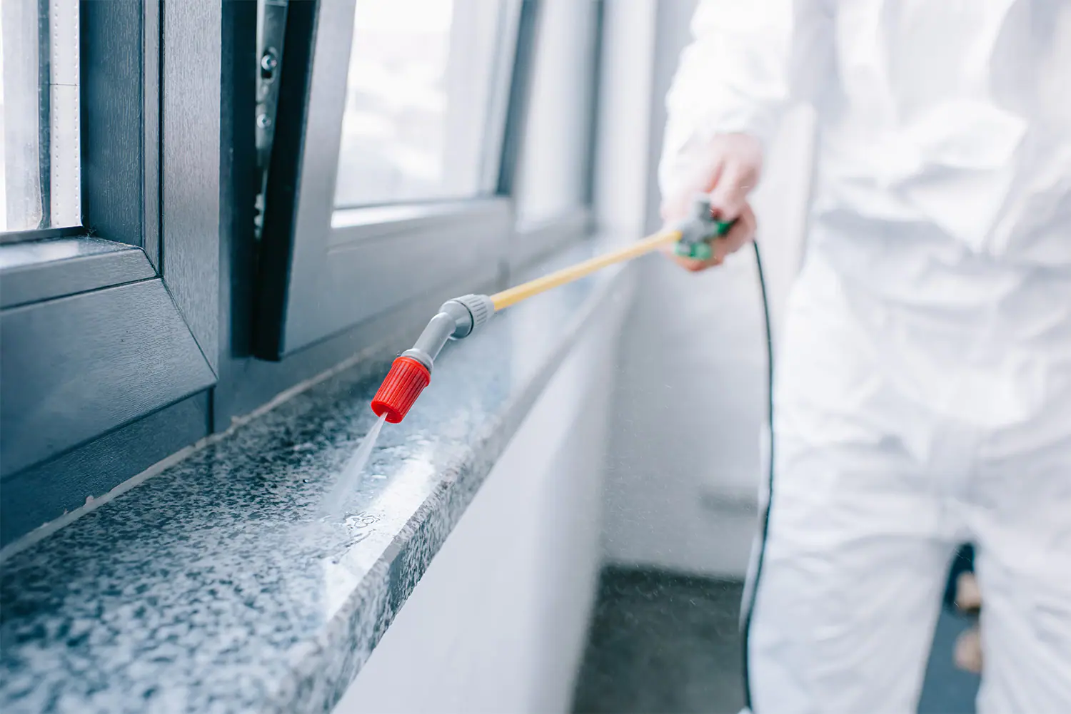Advantages Of Hiring Professional Rodent Control In Los Angeles
