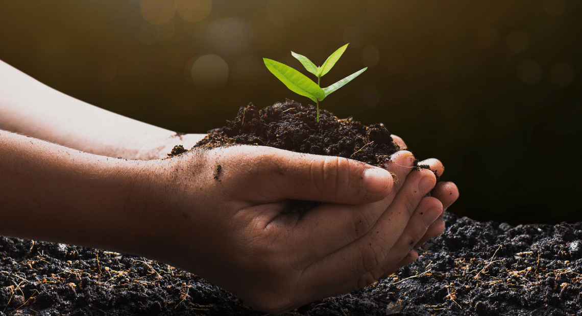 How to Make Your Business More Eco-Conscious: A Practical Guide