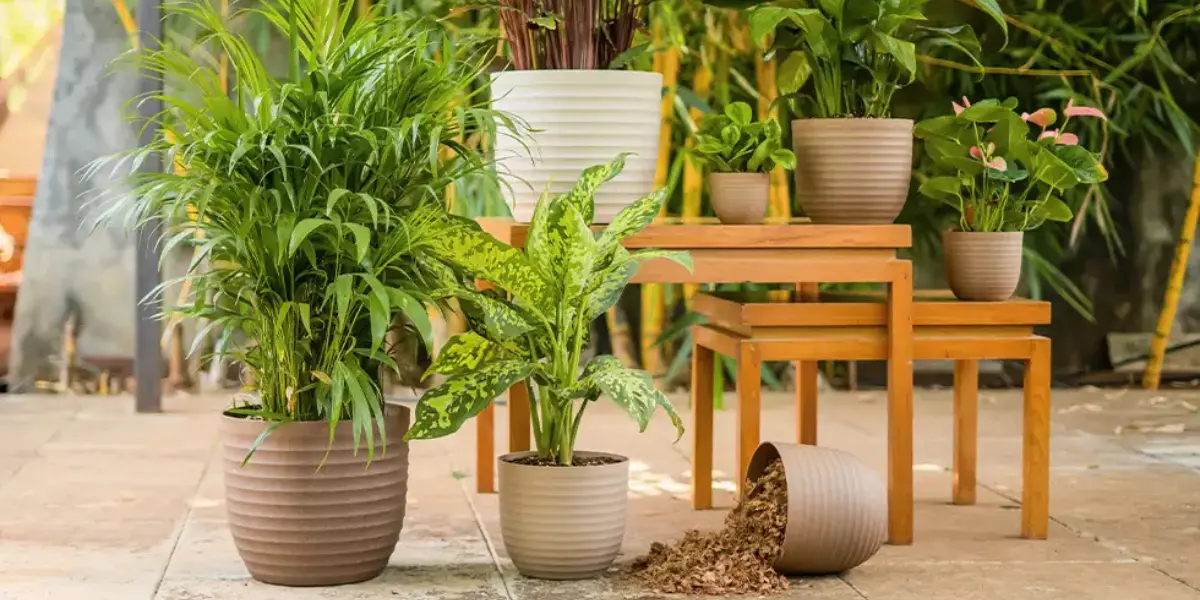 Best Planters for Indoor Greenery: Bringing Nature Indoors with Style