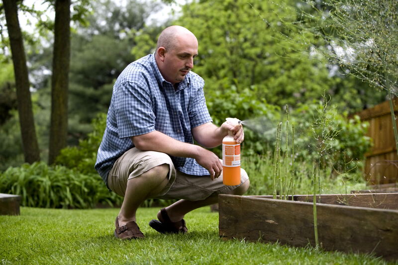Garden Pest Control For USA Organic Yards